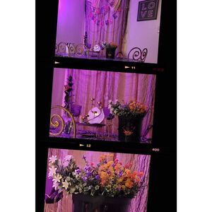 Artificial flowers white or pink